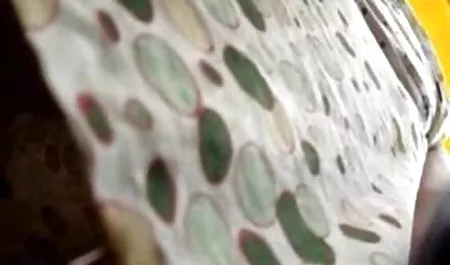 القديمة بريسلي كبيرة الثدي من الرواية. فلم سكسى عربى بي-بي-سي في الخريف كلير.