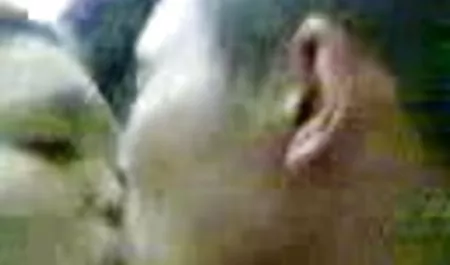 1 الأراضي اللاتينية سكس عربي افلام جنس edition3