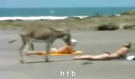 آشلي, نعمة, الجنس في افلام سكس افلام عربي النادي
