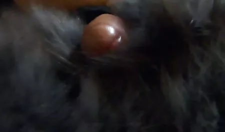( صديقات اخته يلعبن بزب اخوها النائم فيلم سكس مترجم عربي كامل translated porn