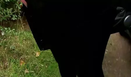 الرجعية الآسيوية افلام سكس 2019 مترجم عربي اختراق مزدوج وقحة